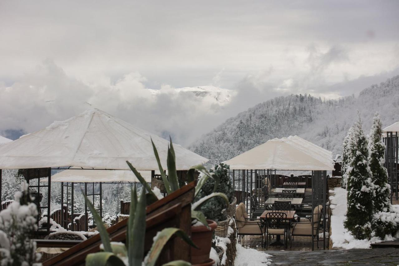 Alpine Castle Hotel Dilijan Exterior foto